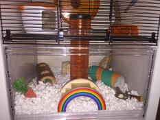 Den nedre halvan av en bur för hamster och gerbil Qute med massor av leksaker och tillbehör att leka med