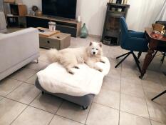 En stor vit hund som vilar på fårskinnet i sin grå säng