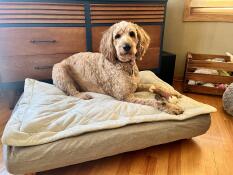En hund som ligger på sin grå säng med quiltat överdrag