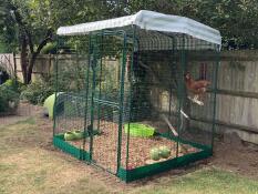 Doris och aggie i cluckingham palace