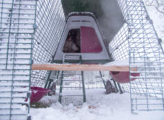 Vår sittplats under snön