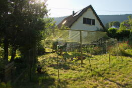 Hönsstängsel stängt med ytterligare nät i toppen i en trädgård, med ett hus i bakgrunden.