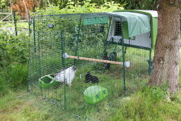 Omlet grönt Eglu Cube stort hönshus och utedass