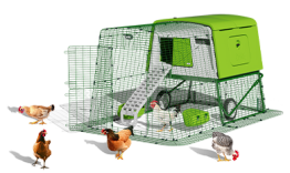 Eglu Cube hönshus