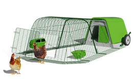 Eglu Go hönshus