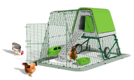 Eglu Go up hönshus