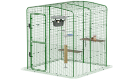 Gå in i catio kör