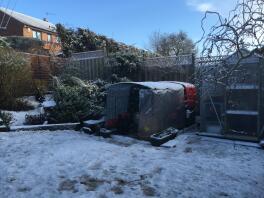 kycklingar på vintern