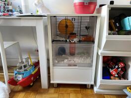 En vit hamsterbur i ett barnrum.