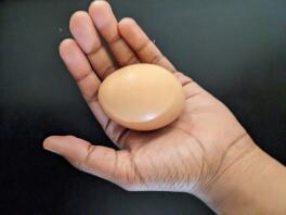 Mogna rhode island red's egg.