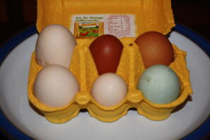 6 vackra ägg