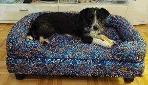 Weckys hund soffa