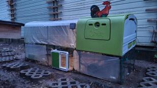 Grönt Eglu Cube stort hönshus och löpning med Omlet grön automatisk dörr till hönshuset