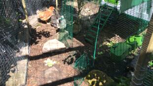 Omlet Eglu Cube stort hönshus med utflykt
