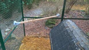 En sittpinne för min piGeons och min tupp