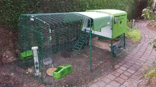  Eglu Cube hönshus med 3 meter lång löpbana och tak på toppen. tack.