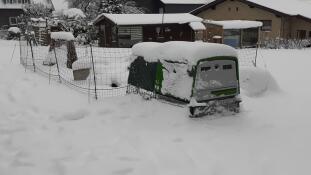 Ett Omlet Eglu Cube hönshus täckt av Snow.