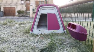Ett rosa hönshus och en foderautomat i en frusen vinterträdgård