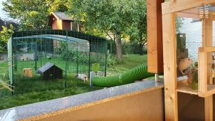 Kanintunneln Zippi används för att släppa ut marsvin utanför huset.