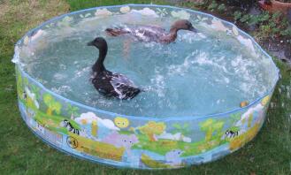 Kul i badet