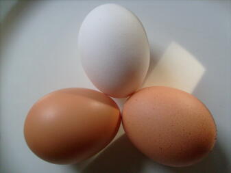 Tre ägg