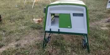 Eglu Cube stort hönshus i grönt
