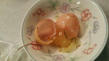 Det första ägget från vårt lätta sussex Opal var en trasig dubbel yolker.