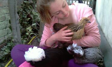 Katie och kycklingarna