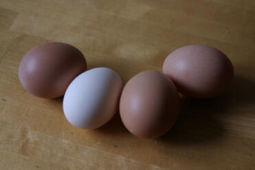 Närmare bild av vårt första vita ägg