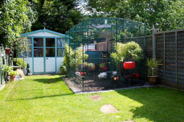 Håll höns med stil med Omlet walk in run and chicken coop.