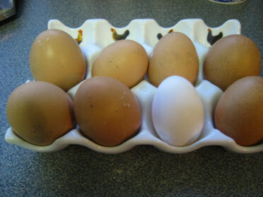 Massor av härliga ägg