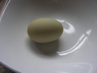 Det första Bonny gröna ägget någonsin.