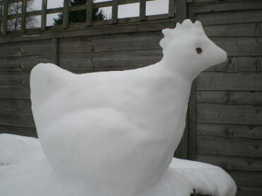 Snow kyckling!