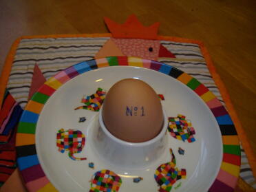Det första ägget från Hannah eller Peppi!
