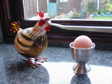 Vårt första ägg någonsin, lagt mycket smart av Saffron, vår Warren Brown Hen.