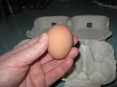 Eggwin känner sig mycket bättre, ett perfekt litet brunt ägg.