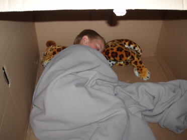 Alternativ användning för lådan eglu anlände till. William sov där hela natten.