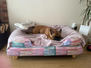 Belle älskar sin nya säng!