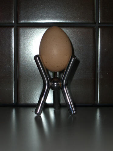 Det första ägget