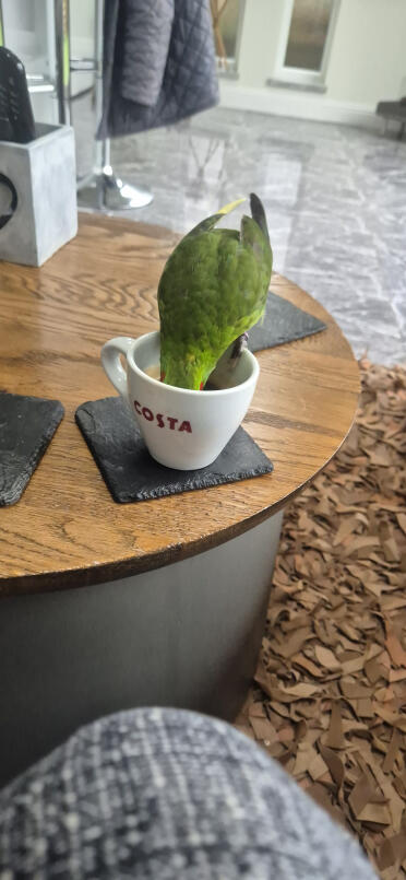 Tar en kaffepaus!