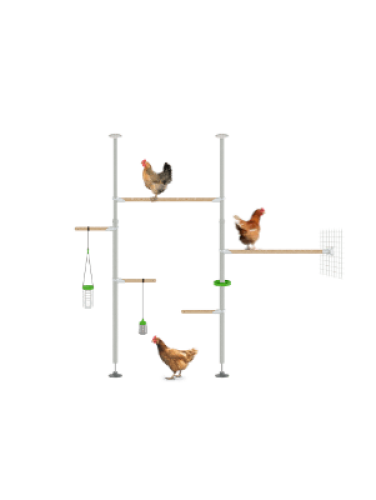 Poletree höns träd perch system hönsemble setup