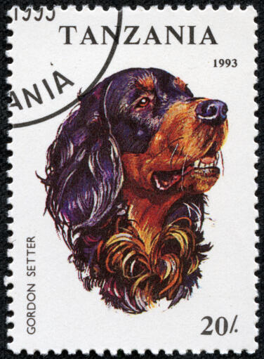 En Gordon setter på ett tanzaniskt frimärke.