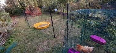 En trädgård med massor av utrustning för kycklinguppfödning.
