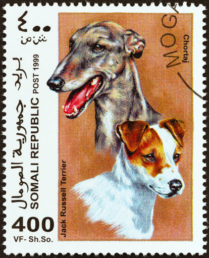 En jack russell terrier och en chortaj på ett afrikanskt frimärke