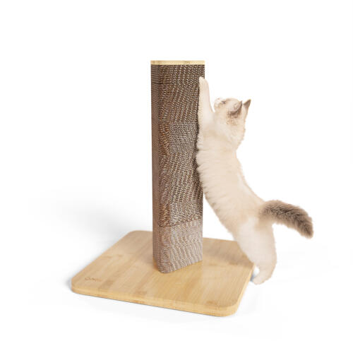 Kort Stak kattskrapa med bambubotten