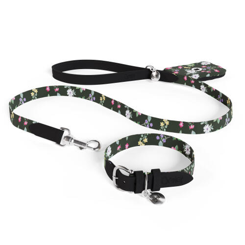 Hundlina, halsband och hållare för bajspåse som ett paket