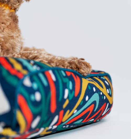 En hund som vilar på kudden hundbädd