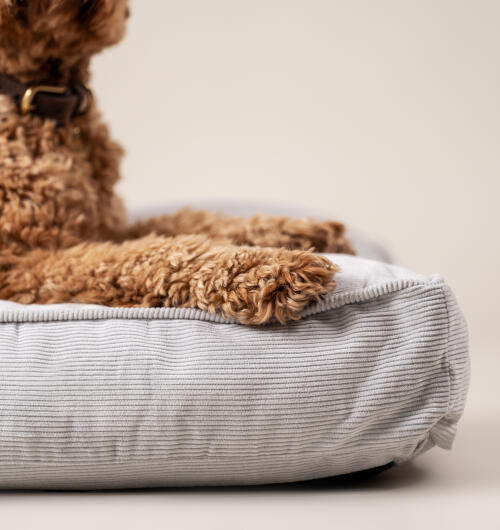 En närbild av en hund som vilar på en hundbädd med stenar och kuddar av manchester