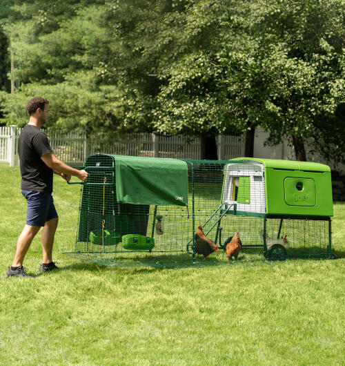 En man flyttar sin Eglu Cube hönsgård