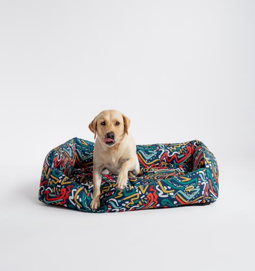 Liten retriever i ett Omlet bo säng i zoomies tryck
